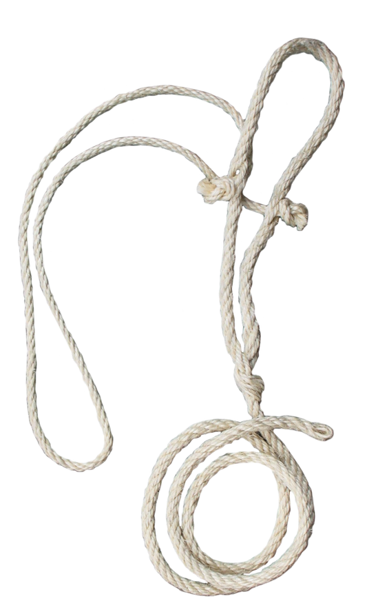 Koetouwhalster + dun koptouw