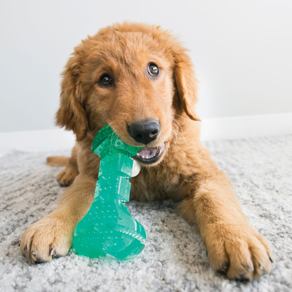KONG Squeezz® Dental Stick Md