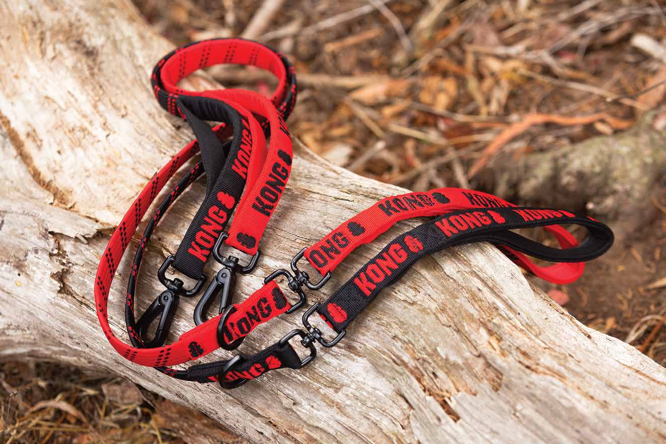 KONG Zero-shock leash One Size Black