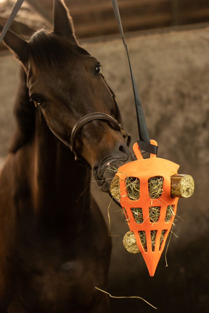 Lax Hooi knabbelblok voor Paarden