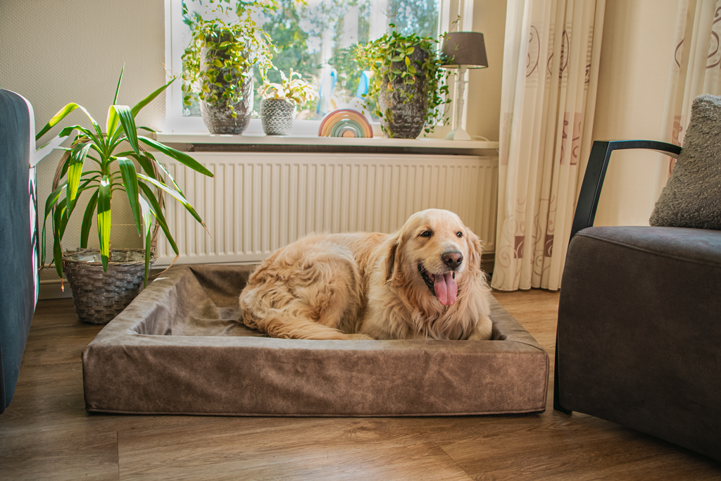 Let&#039;s Sleep Comfy Cushion Hondenmand M Antraciet