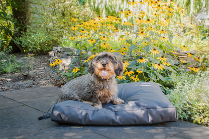 Let&#039;s Sleep Cushy Cloud Hondenkussen Buiten M Antraciet