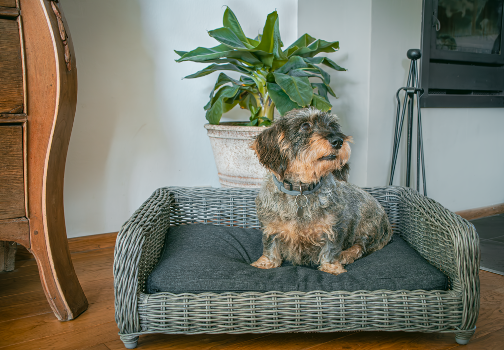Let&#039;s Sleep Cozy Basket Rieten Hondenmand M Antraciet