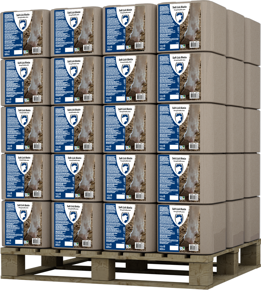 Liksteen BIOTIN
