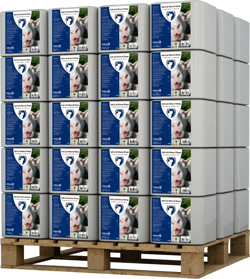 Liksteen MINERAL Schaap