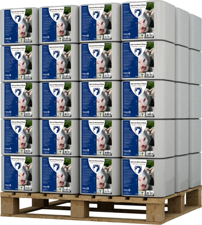 Liksteen MINERAL Schaap