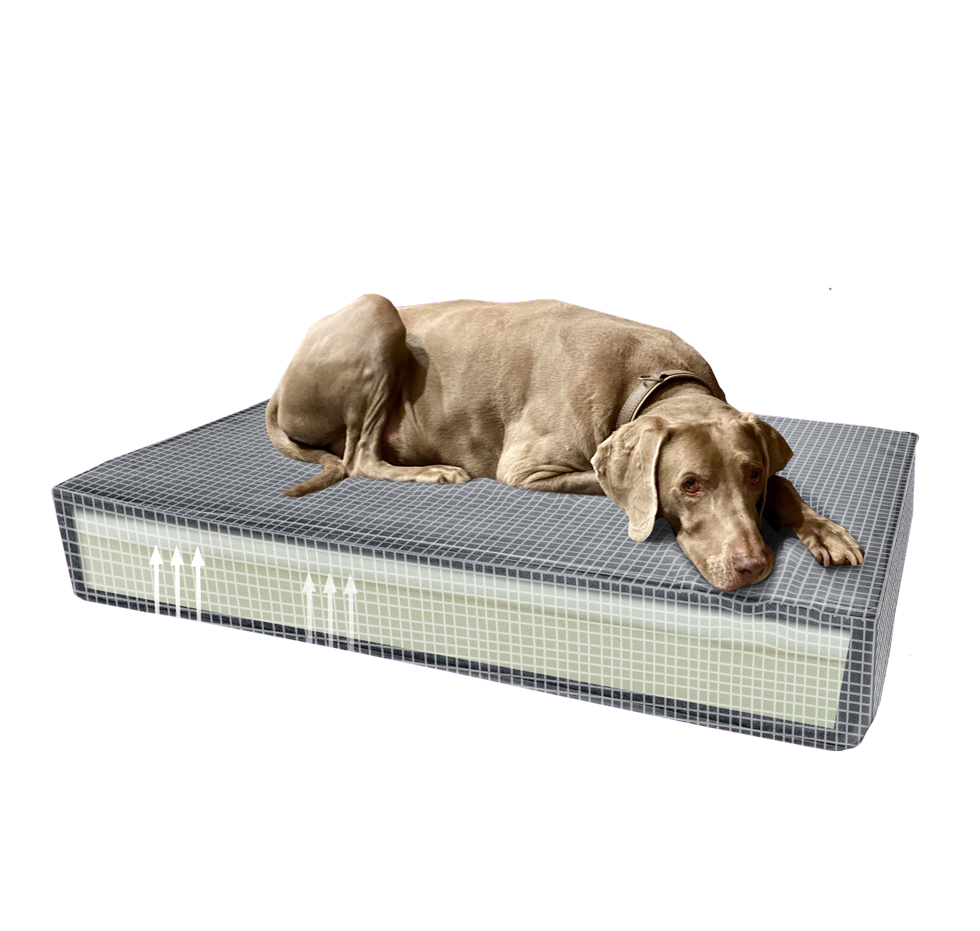 Madison Orthopedisch kussen Velvet groen S