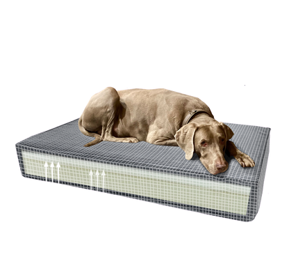 Madison Orthopedisch kussen Velvet groen S