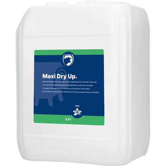 Maxi Dry Up (Droogzetten)