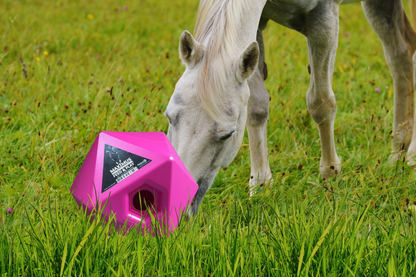 Maximus Feed &amp; Play roze