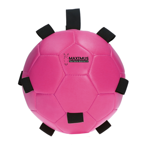 Maximus Fun Play Ball Pink