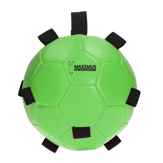 Maximus Fun Play Ball Green