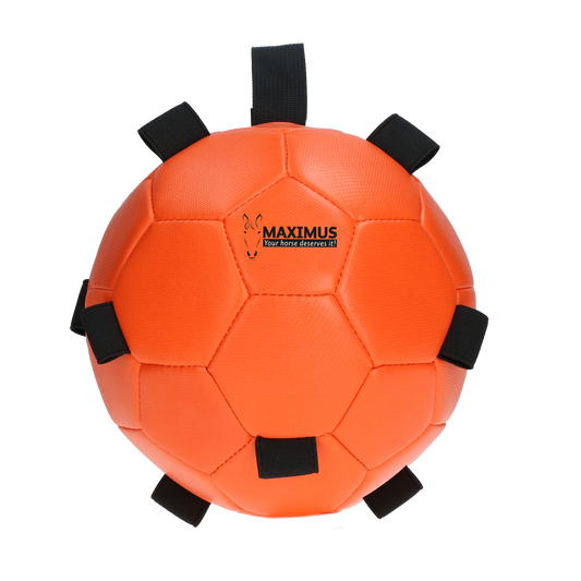 Maximus Fun Play Ball Orange