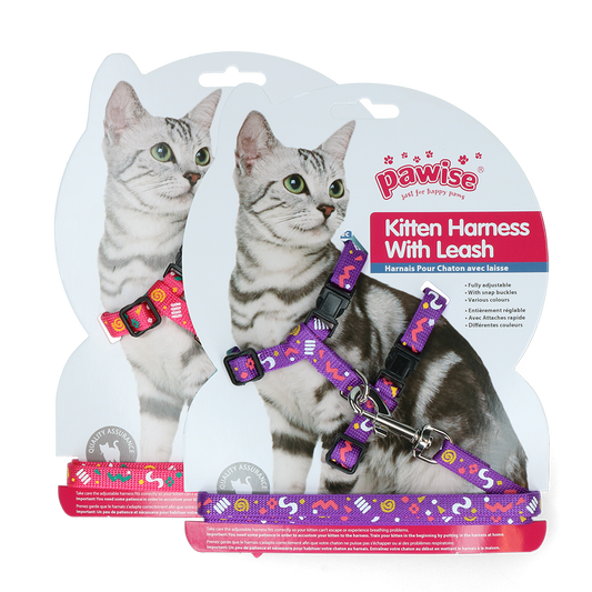 Pawise Kitten Harness Leash-Pink/Purple S
