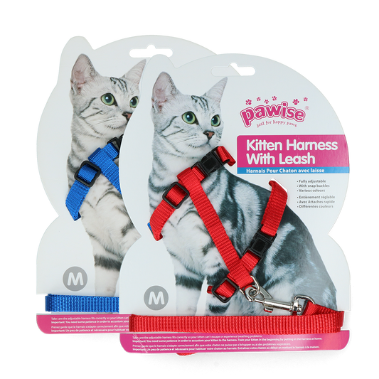 Pawise Kitten Harness Leash-Red/Blue