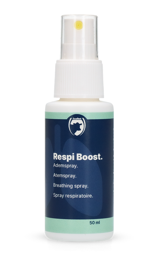 Respi Boost (Ademspray)