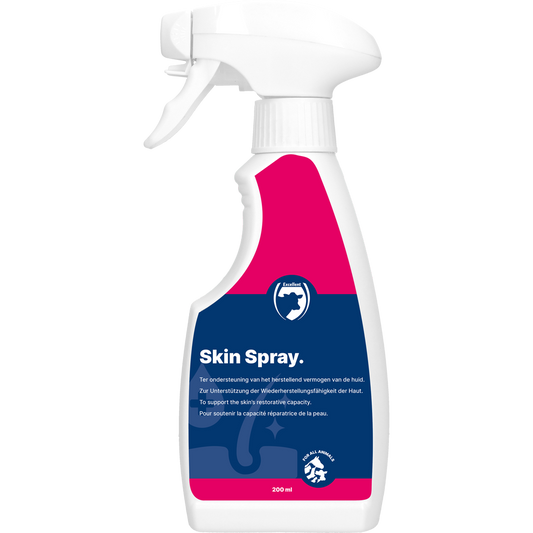 Skin Spray Blank